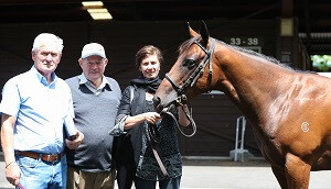 Fastnet Rock x Katie Lee colt Lot 73 $800k web